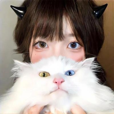 机动部队—伙伴